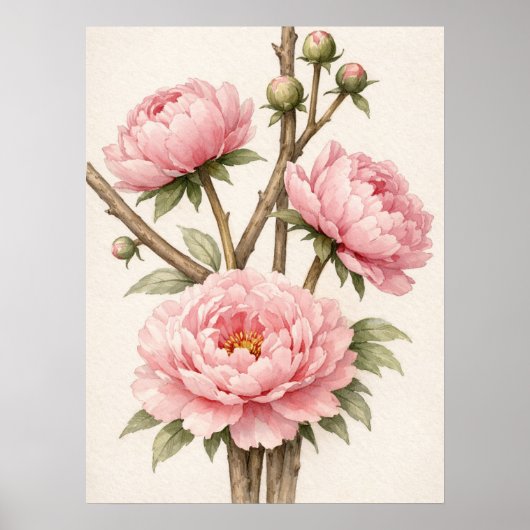 Pink Peony Botanical ポスター (正面)