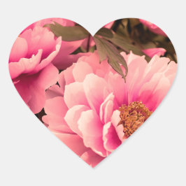 Pink  Peony Flower ハートシール