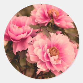 Pink  Peony Flower ラウンドシール