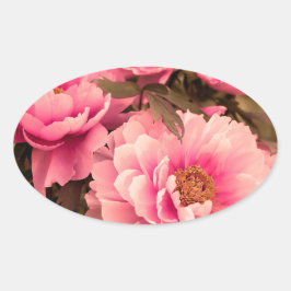 Pink  Peony Flower 楕円形シール