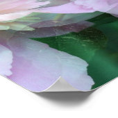 Pink Peony Flowers Multiplied ポスター (角)