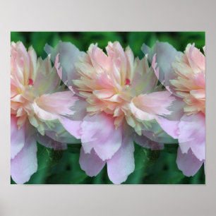 Pink Peony Flowers Multiplied ポスター
