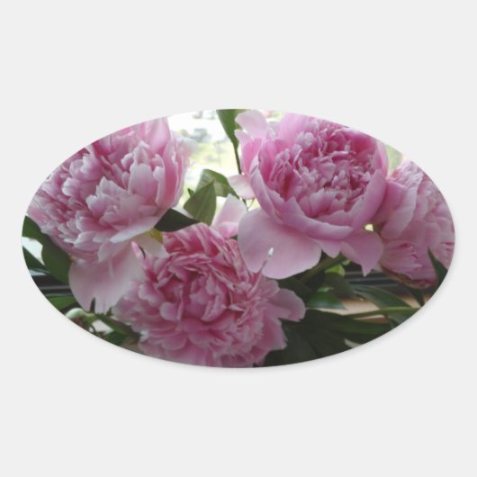 Pink Peony Stickers 楕円形シール (正面)