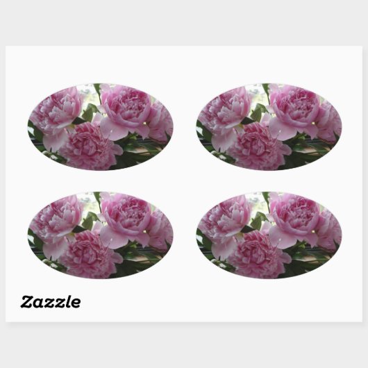 Pink Peony Stickers 楕円形シール (シート)