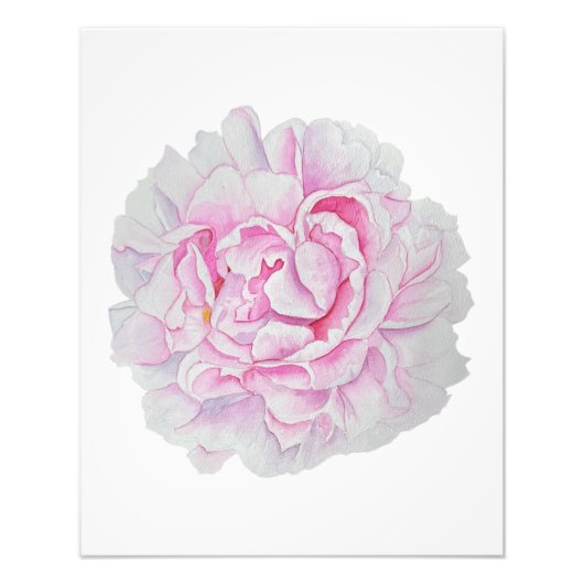 Pink Peony Watercolor Flower Poster フォトプリント (正面)
