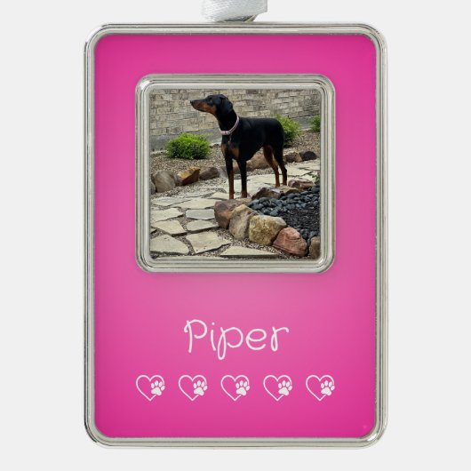 Pink Pet Photo Ornament Framed, Dog Lovers シルバープレートフレームオーナメント (正面)
