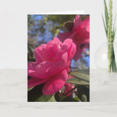 Pink Petals 1 - Folded Greeting Card カード (正面)