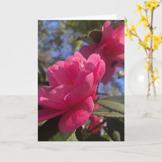 Pink Petals 1 - Folded Greeting Card カード (黄色い花)