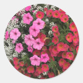 Pink Petunia Flowers Springtime ラウンドシール (正面)