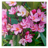 Pink Plumeria タイル (正面)