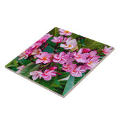 Pink Plumeria タイル (側面)