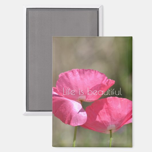 Pink Poppies   マグネット (正面/裏面)