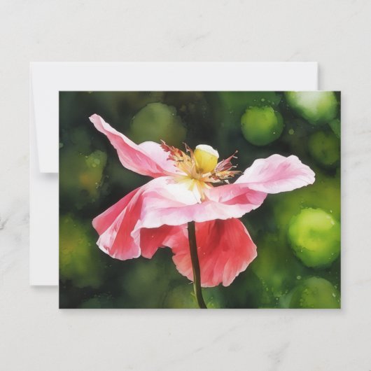 Pink Poppy Flower Floral Art Note Card Set ノートカード (正面)