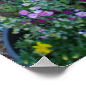 Pink Poppy Poppies Spring Flower Floral Garden ポスター (角)