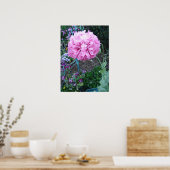 Pink Poppy Poppies Spring Flower Floral Garden ポスター (キッチン)