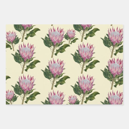 Pink Protea Cadeaupapier Vellen 3 Sets ラッピングペーパーシート (正面)