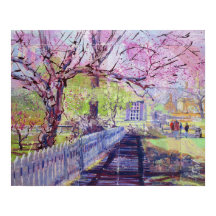 Pink Redbud Blossoms At Williamsburg Virginia