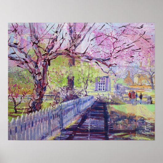 Pink Redbud Blossoms At Williamsburg Virginia ポスター (正面)