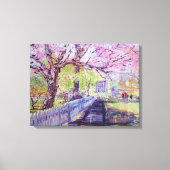 Pink Redbud Tree Blossoms At Williamsburg Virginia キャンバスプリント (正面)