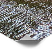 Pink Rhododendron Blooms Water Reflection ポスター (角)