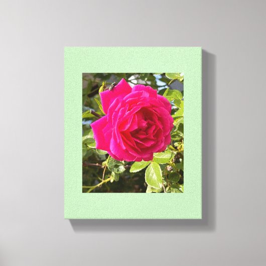 Pink Rose and a Fly キャンバスプリント (正面)