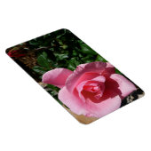 Pink Rose and Bud Garden Floral マグネット (右側)