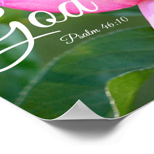 Pink Rose Blossom Be Still Psalm 46:10 ポスター (角)