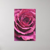 Pink Rose Close-Up Texture Abstract Wall Art キャンバスプリント (正面)