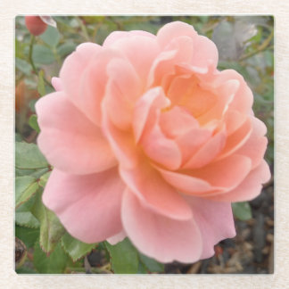 Pink Rose Coster ガラスコースター