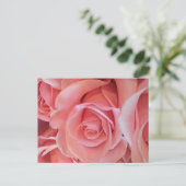 Pink Rose Postcard ポストカード (スタンド正面)