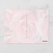 Pink Rose Postcard ポストカード (裏面)