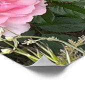 Pink Rose Roses Flower Floral Garden Radox Bouquet ポスター (角)