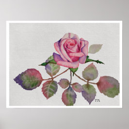 Pink Rose with Abstract Leaves Watercolor ポスター