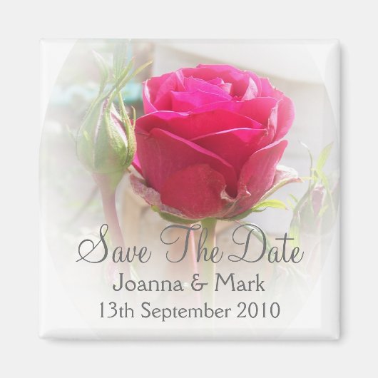 Pink Rosebud Save The Date Magnet マグネット (正面)