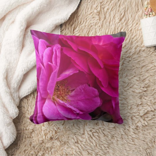 Pink Roses クッション (ブランケット)