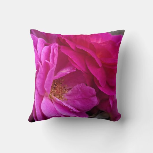 Pink Roses クッション (裏面)