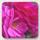 Pink Roses コースター (正面)