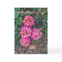 Pink Roses and Garden Glove - Mother's Day