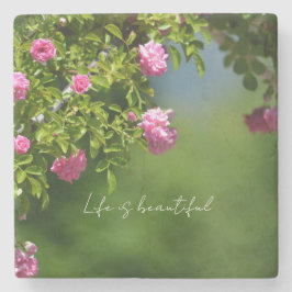 Pink Roses Floral (photography by me) ストーンコースター