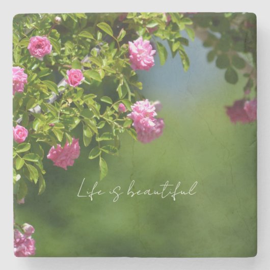 Pink Roses Floral (photography by me) ストーンコースター (正面)