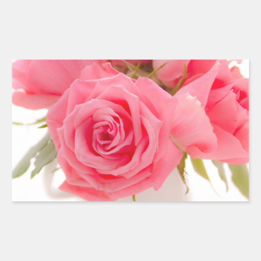 Pink roses | mothersday | birthday | 長方形シール (正面)