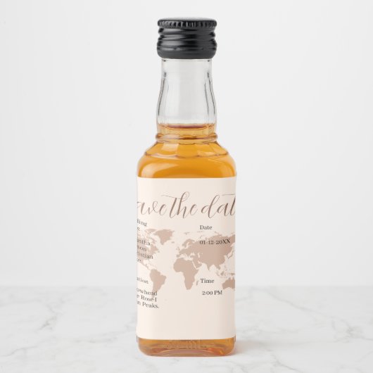 Pink Salmon Boarding Pass World Map Travel リキュールボトルラベル (正面)