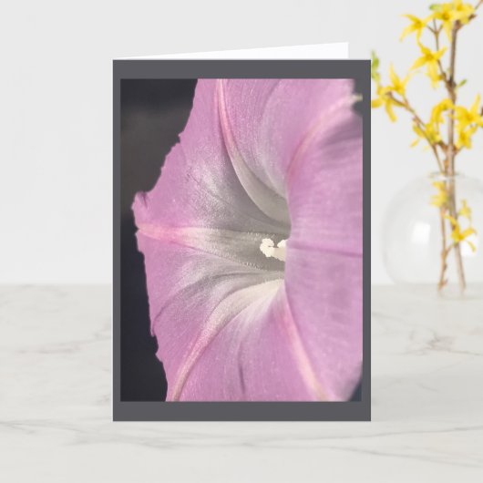 Pink-Satin Morning Glory Blank カード (黄色い花)