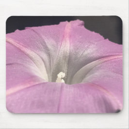 Pink Satin Morning Glory Close-up マウスパッド