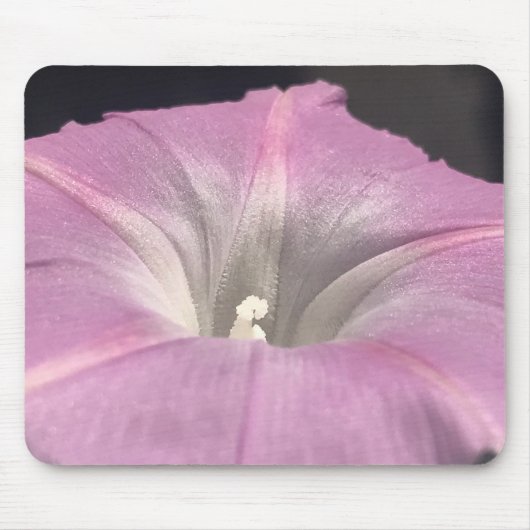 Pink Satin Morning Glory Close-up マウスパッド (正面)