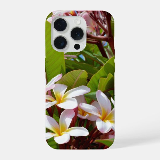 Pink Splendor, Pink Frangipani Blooms On A Tree iPhoneケース (裏面)
