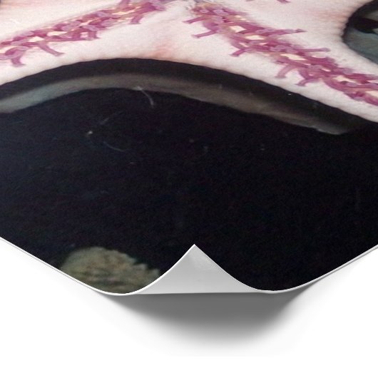 Pink Starfish ポスター (角)