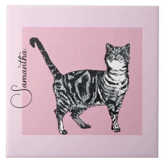 Pink Tabby Cat Cats Pastel Pink Girls Name タイル (正面)