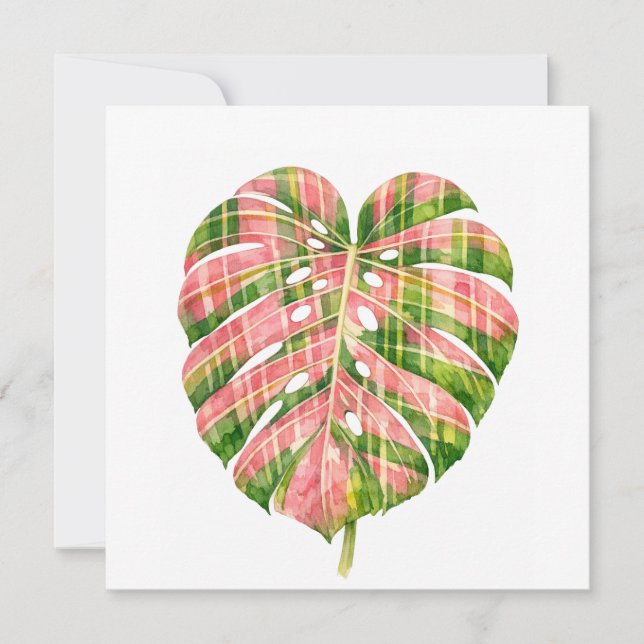 Pink Tartan Scottish Monstera Watercolour Botanic (正面)