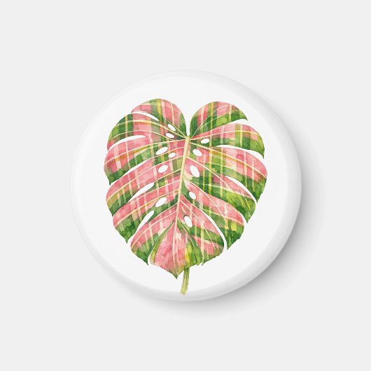 Pink Tartan Scottish Monstera Watercolour Botanic マグネット (正面)